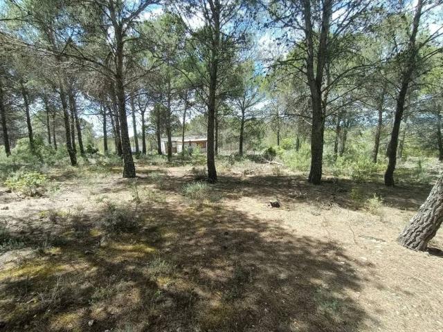 Terreno en venta en Renera, Castilla-La Mancha