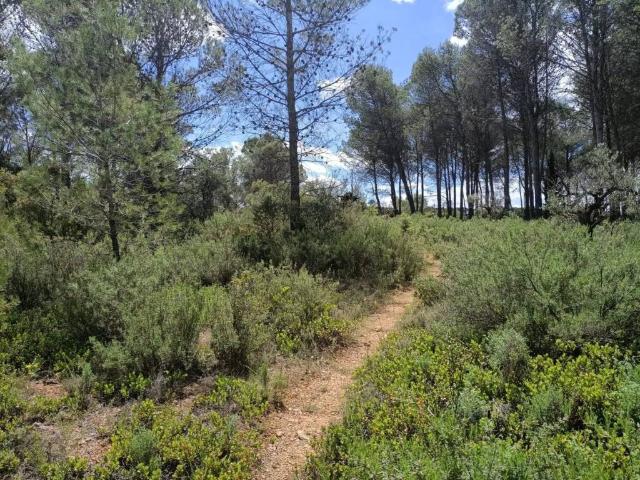 Terreno en venta en Renera, Castilla-La Mancha