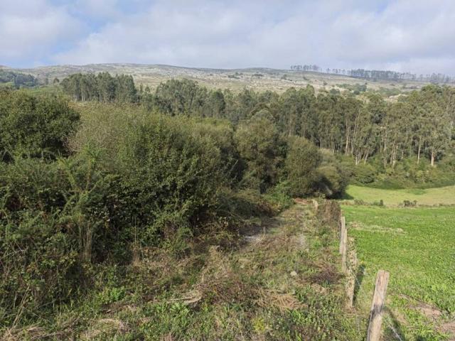 Terreno en venta en Alfoz De Lloredo, Cantabria