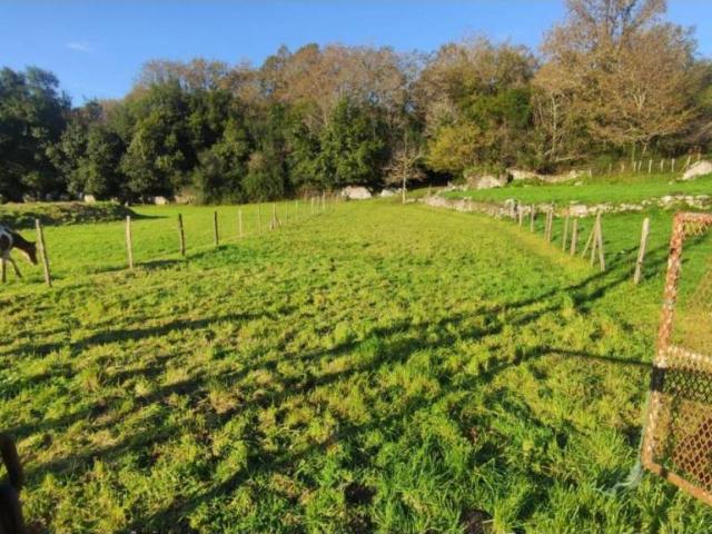 Terreno en venta en Reocín, Cantabria