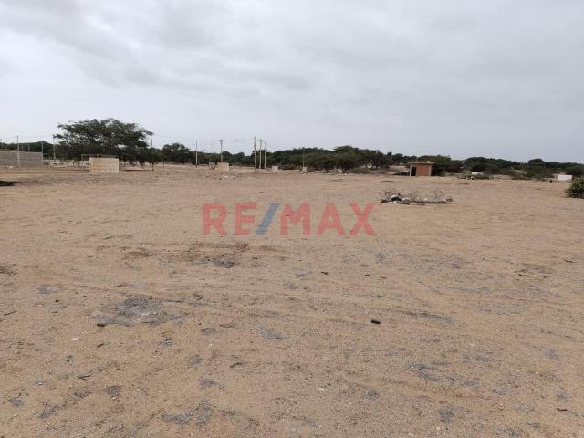 Terreno venta en Reque, Lambayeque