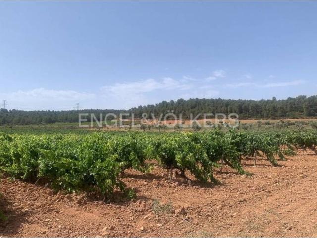 Terreno en venta en Requena Terreno en venta en Requena
