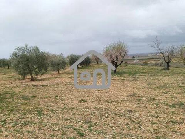 Terreno en venta en La Plana de Utiel-Requena, Valencia