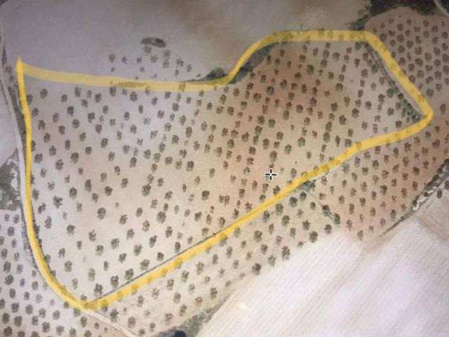Terreno en venta en La Plana de Utiel-Requena, Valencia