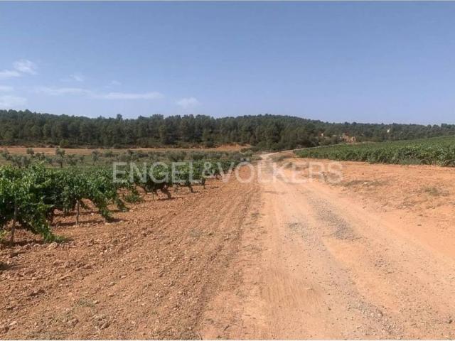 Terreno en venta en La Plana de Utiel-Requena, Valencia