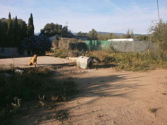Terreno en venta en Reus, Tarragona