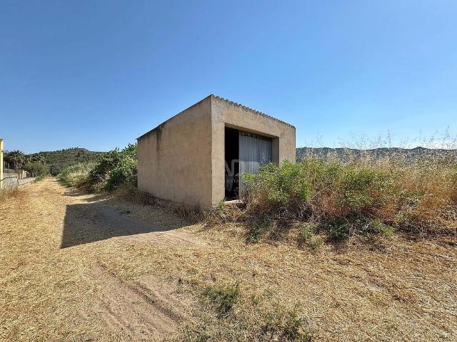 Terreno en venta en Ribera d'Ebre, Catalunya