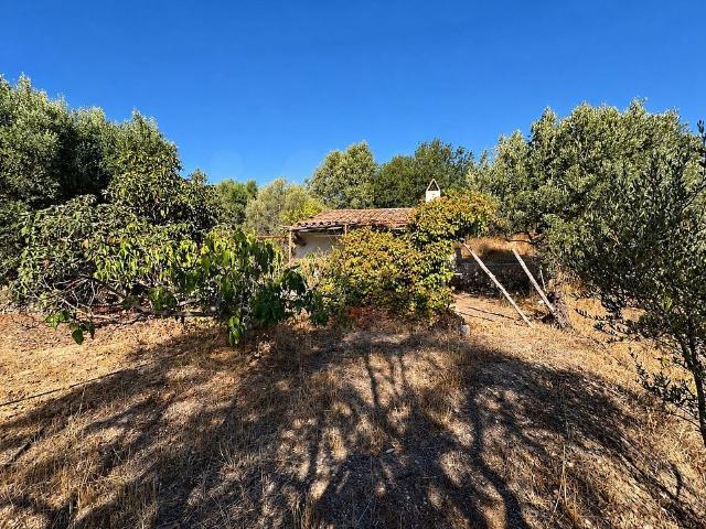 Terreno en venta en Riba-roja d'Ebre, Tarragona
