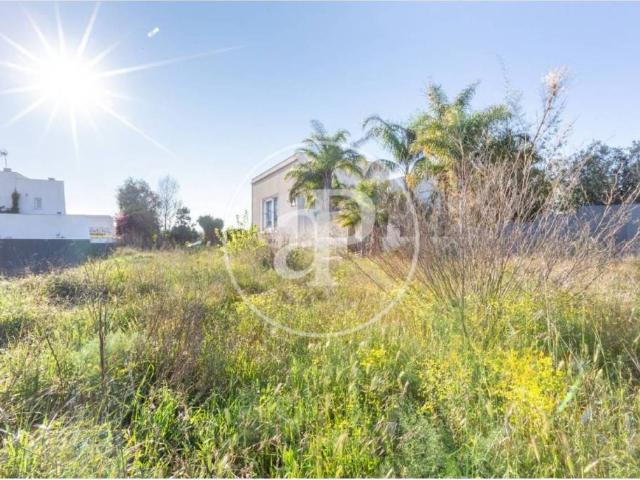 Terreno en venta en el Camp de Túria, Valencia