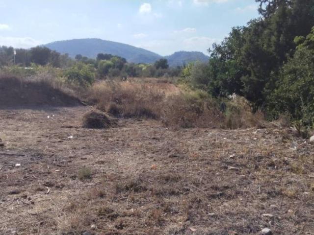 Terreno en venta en el Camp de Túria, Valencia