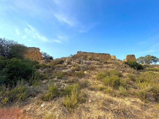 Terreno en venta en Ribera d'Ebre, Catalunya