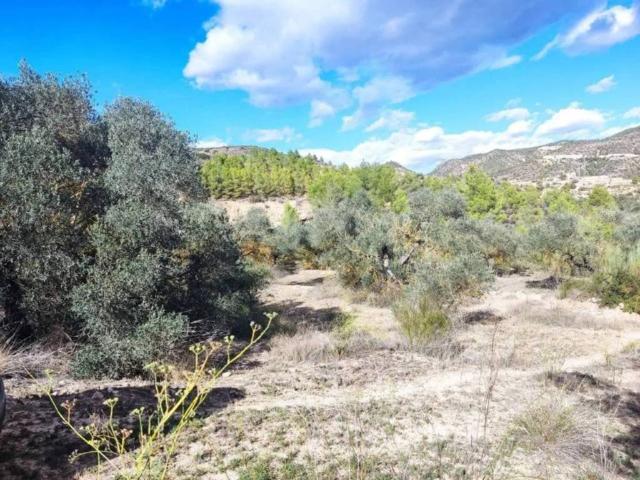 Terreno en venta en Ribera d'Ebre, Catalunya