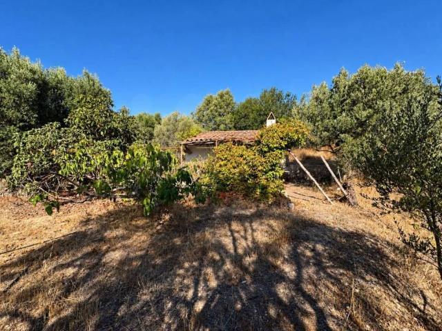 Terreno en venta en Riba-roja d'Ebre, Tarragona