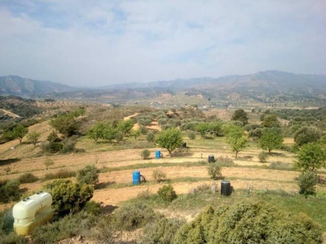 Terreno en venta en Ribera d'Ebre, Catalunya