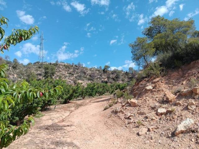 Terreno en venta en Ribera d'Ebre, Catalunya