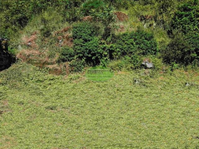 Terreno en venta en O Ribeiro, Galicia