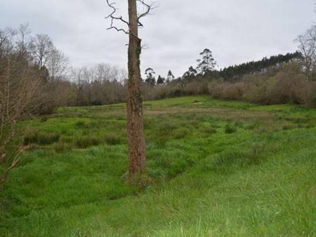 Terreno en venta en La Franca, Ribadedeva