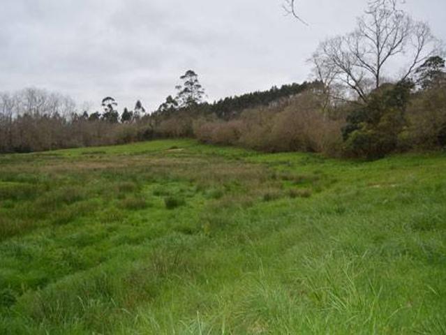 Terreno en venta en Ribadedeva, Asturias