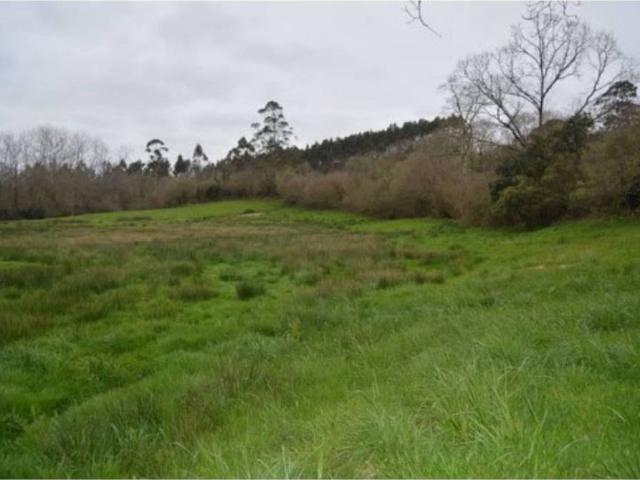 Terreno en venta en Ribadedeva, Asturias