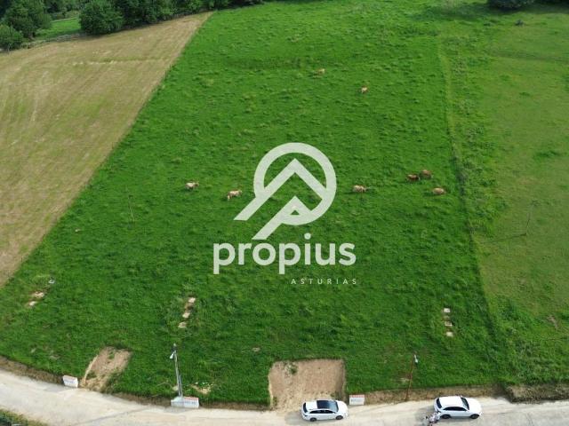 Terreno en venta en Ribadedeva, Asturias