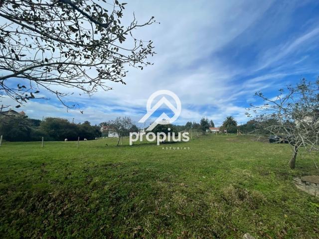 Terreno en venta en Ribadedeva, La Franca