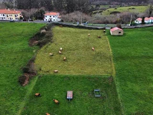 Terreno en venta en Ribadedeva, Asturias