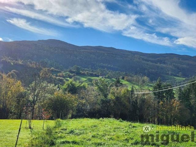 Terreno en venta en Ribadedeva, Asturias