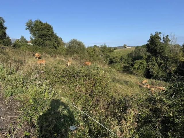 Terreno en venta en Ribadedeva, Asturias