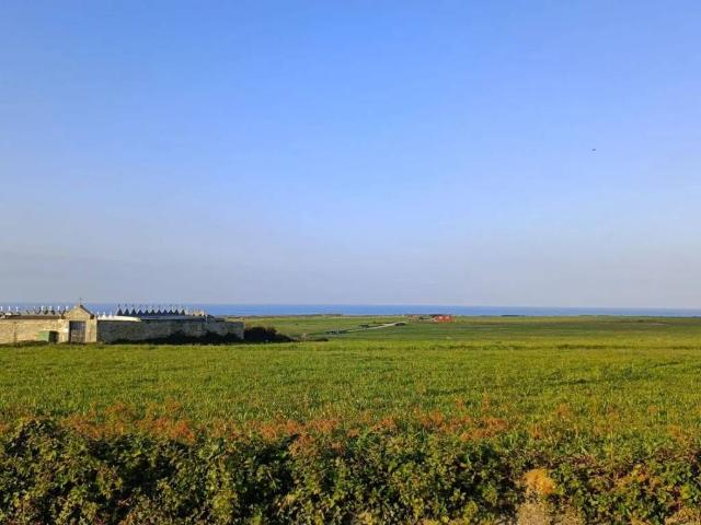 Terreno en venta en Ribadeo, O Barreiro