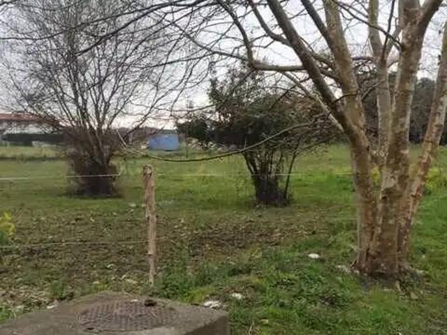 Terreno en venta en Ribamontán Al Mar, Cantabria