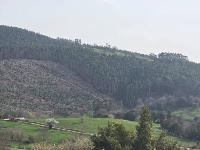 Terreno en venta en Ribamontán Al Monte, Cantabria