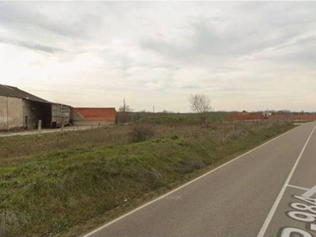 Terreno en venta en Ribas De Campos, Castilla y León