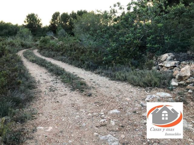 Terreno en venta en la Plana Baixa, Valencia