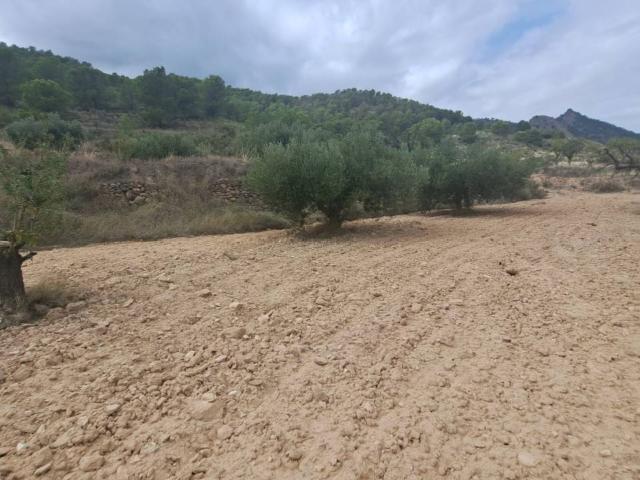 Terreno en venta en Ricote, Región de Murcia