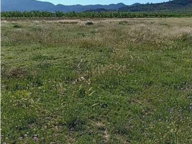 Terreno en venta en Ricote, Región de Murcia