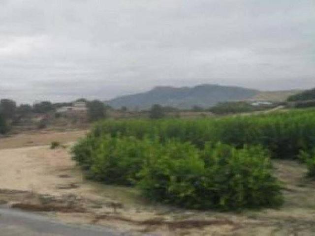 Terreno en venta en Ricote, Región de Murcia