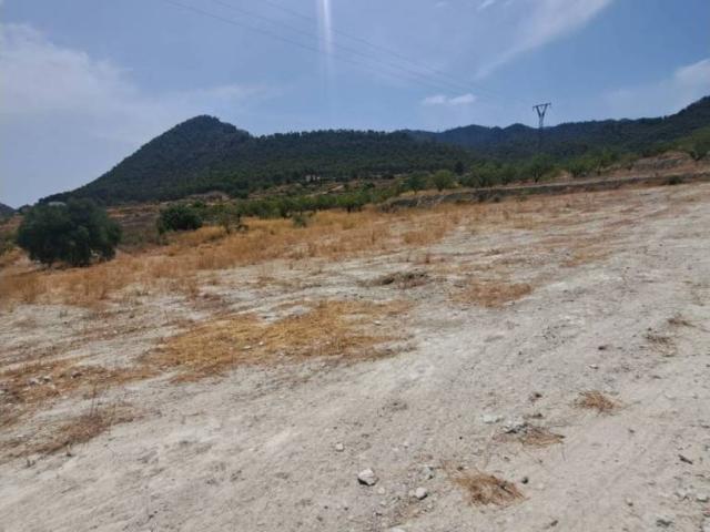 Terreno en venta en Valle de Ricote, Murcia