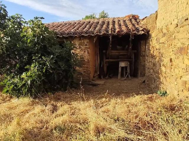 Terreno en venta en Riego De La Vega, Castilla y León
