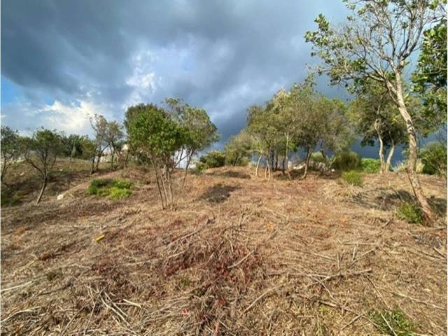 Terreno en venta en la Selva, Catalunya