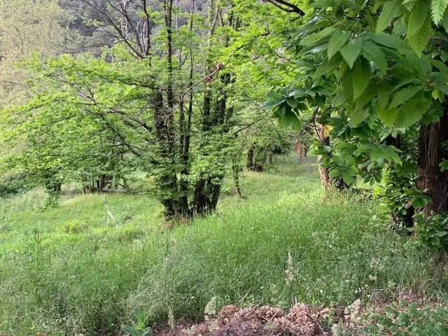 Terreno en venta en Arbúcies, Girona