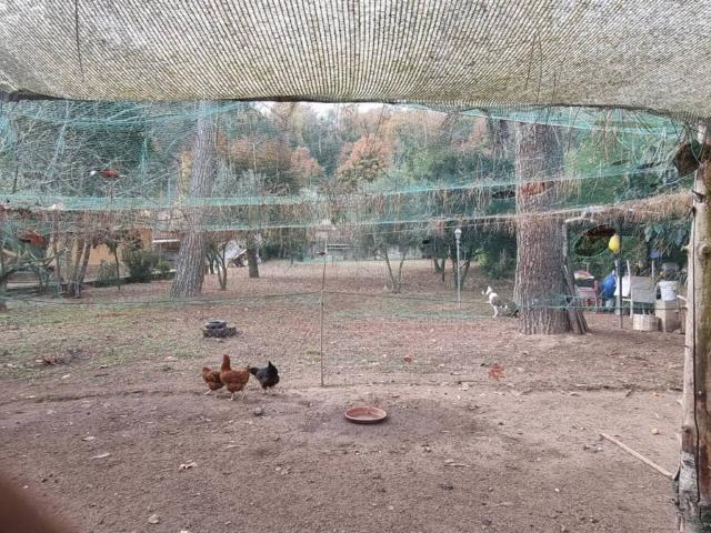 Terreno en venta en Can Salvà, la Selva