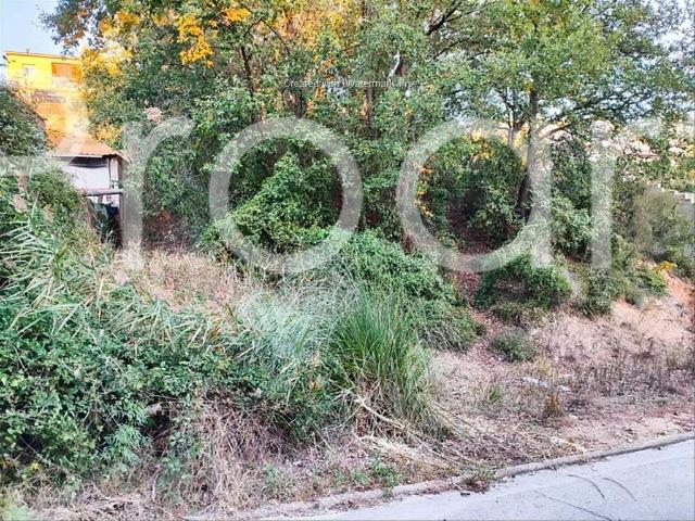 Terreno en venta en la Selva, Catalunya