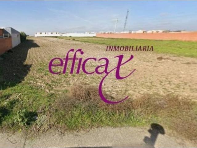 Terreno en venta en Rielves, Castilla-La Mancha