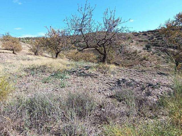 Terreno en venta en La Axarquía, Andalucía