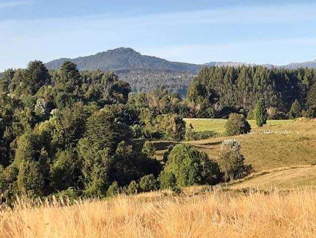Terreno en venta en Lago Ranco, Los Ríos