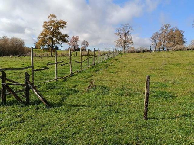 Terreno en venta en Lago Ranco, Los Ríos