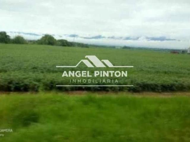 Terreno en venta en Río Chico, Miranda