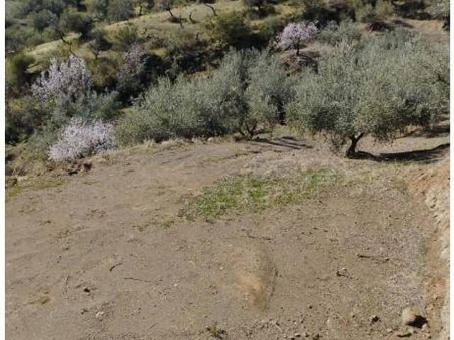 Terreno en venta en La Axarquía, Andalucía