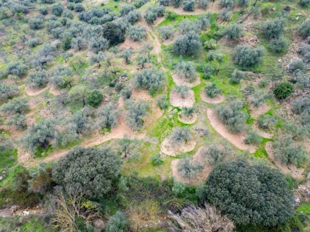 Terreno en venta en La Axarquía, Andalucía