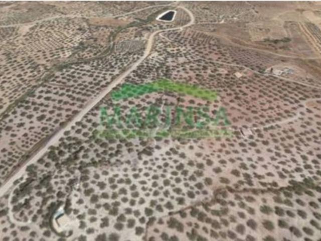 Terreno en venta en Riogordo
